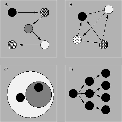 \rotatebox{270}
{\resizebox{!}{90mm}{\includegraphics{complexity.ps}}}